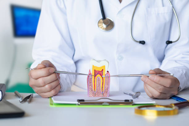 Best Emergency TMJ Treatment in New Hartford Center, CT